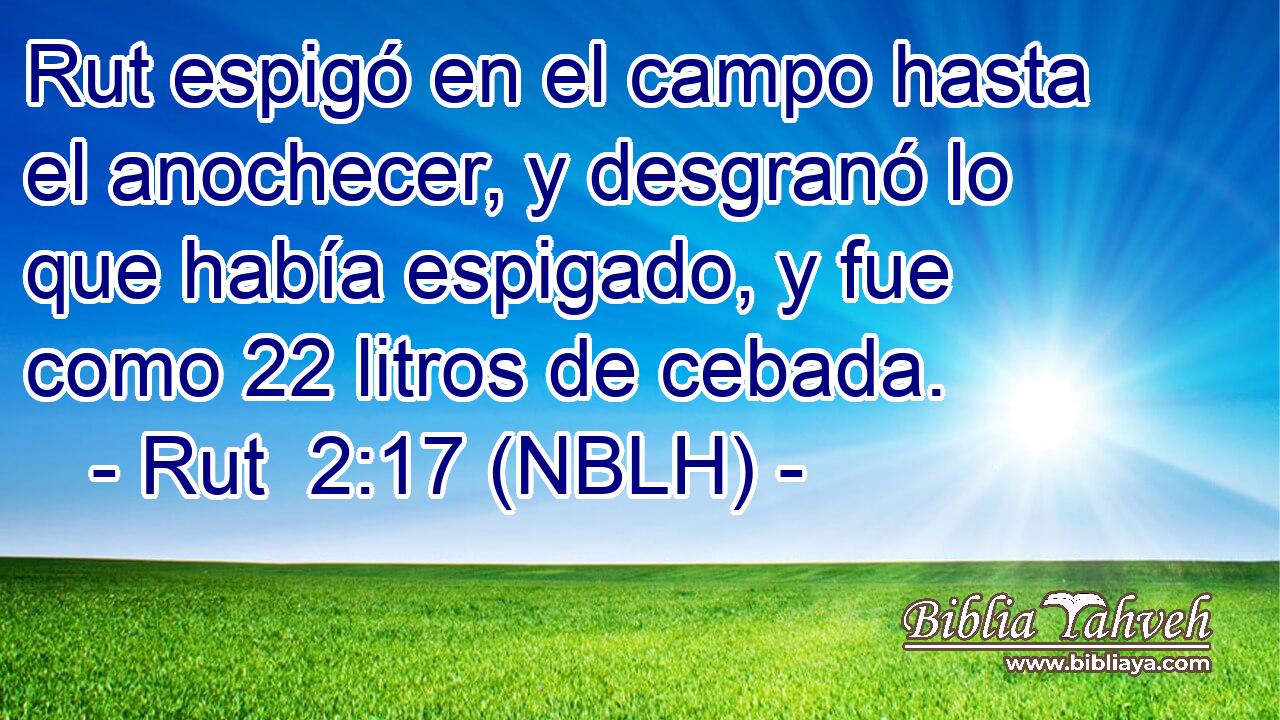  Rut espigó en el campo hasta el anochecer, y desgranó lo que había espigado, y fue como 22 litros de cebada. 