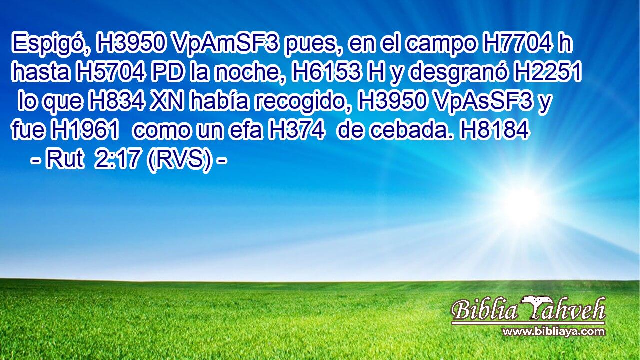 Espigó, H3950 VpAmSF3 pues, en el campo H7704 h hasta H5704 PD la noche, H6153 H y desgranó H2251  lo que H834 XN había recogido, H3950 VpAsSF3 y fue H1961  como un efa H374  de cebada. H8184  