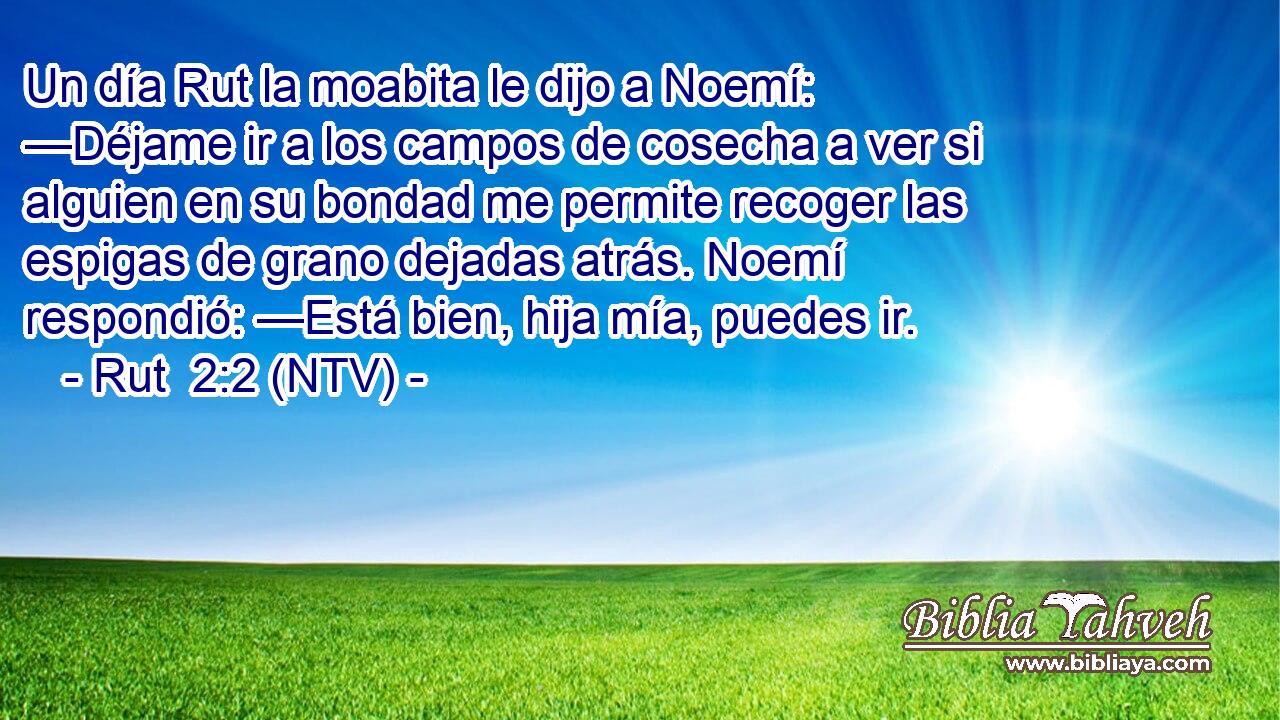 Un día Rut la moabita le dijo a Noemí: —Déjame ir a los campos de cosecha a ver si alguien en su bondad me permite recoger las espigas de grano dejadas atrás. Noemí respondió: —Está bien, hija mía, puedes ir.