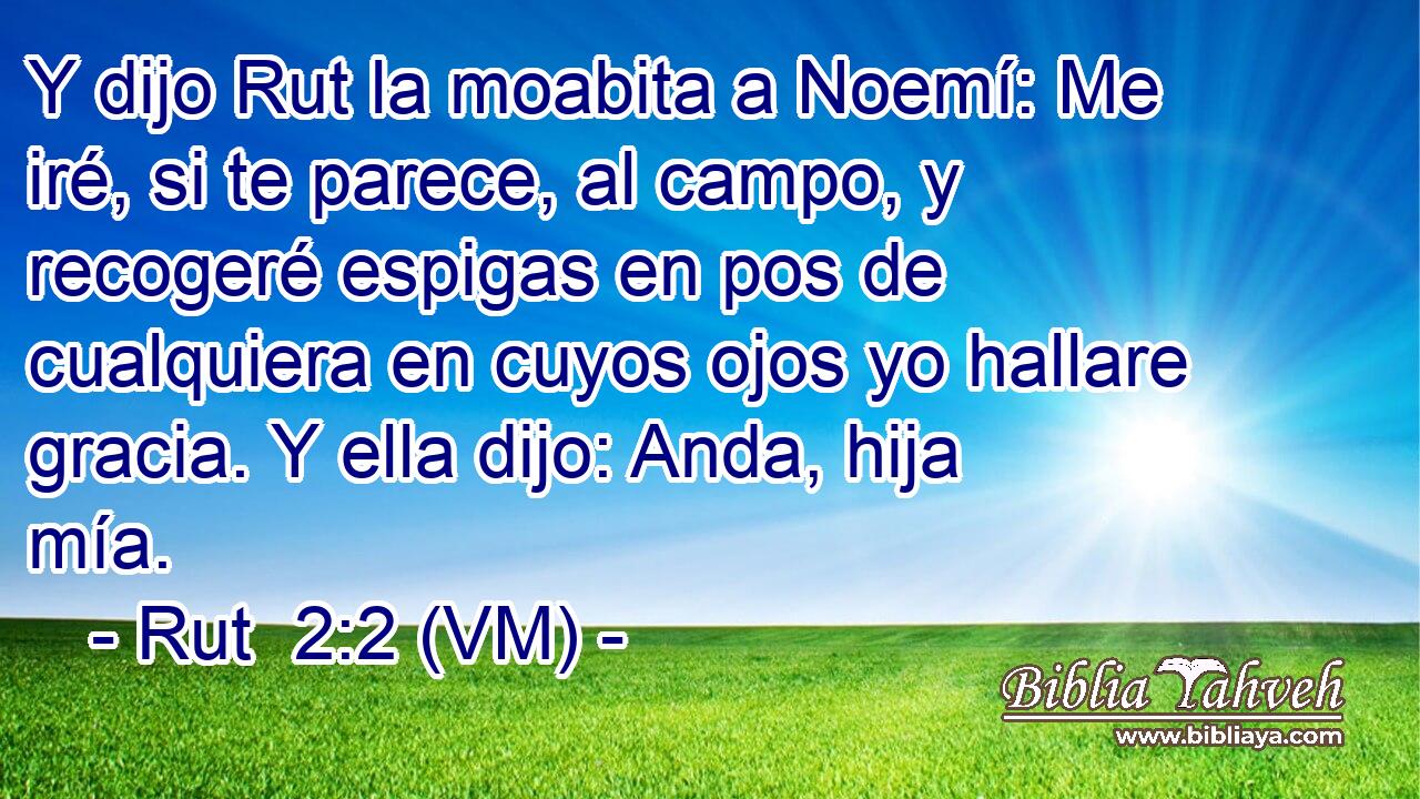  Y dijo Rut la moabita a Noemí: Me iré, si te parece, al campo, y recogeré espigas en pos de cualquiera en cuyos ojos yo hallare gracia. Y ella dijo: Anda, hija mía. 