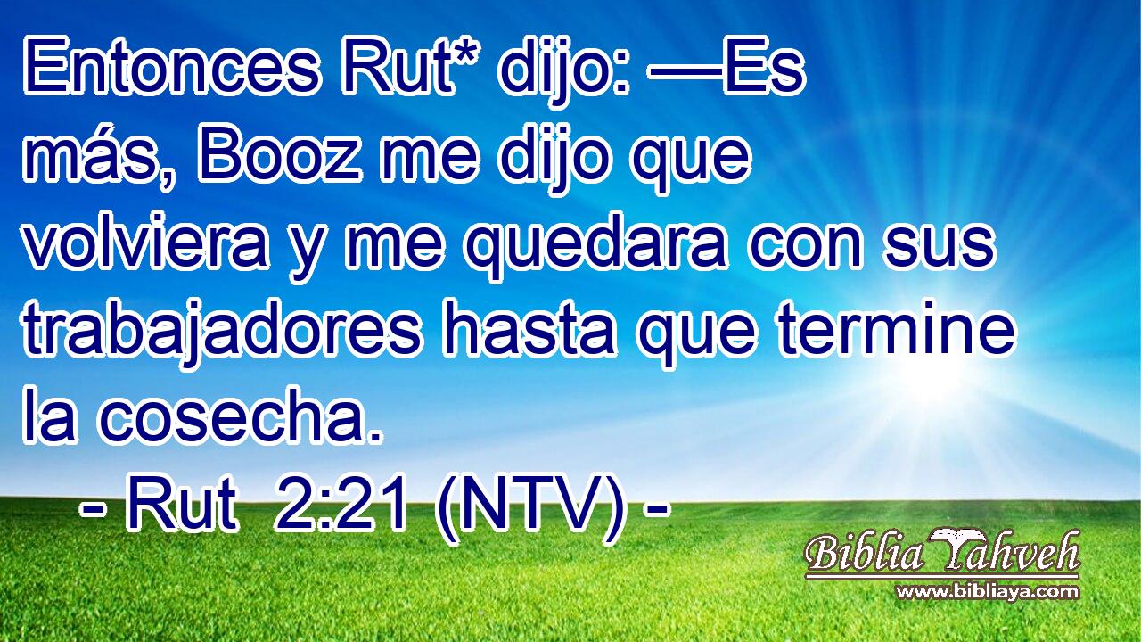 Entonces Rut* dijo: —Es más, Booz me dijo que volviera y me quedara con sus trabajadores hasta que termine la cosecha.
