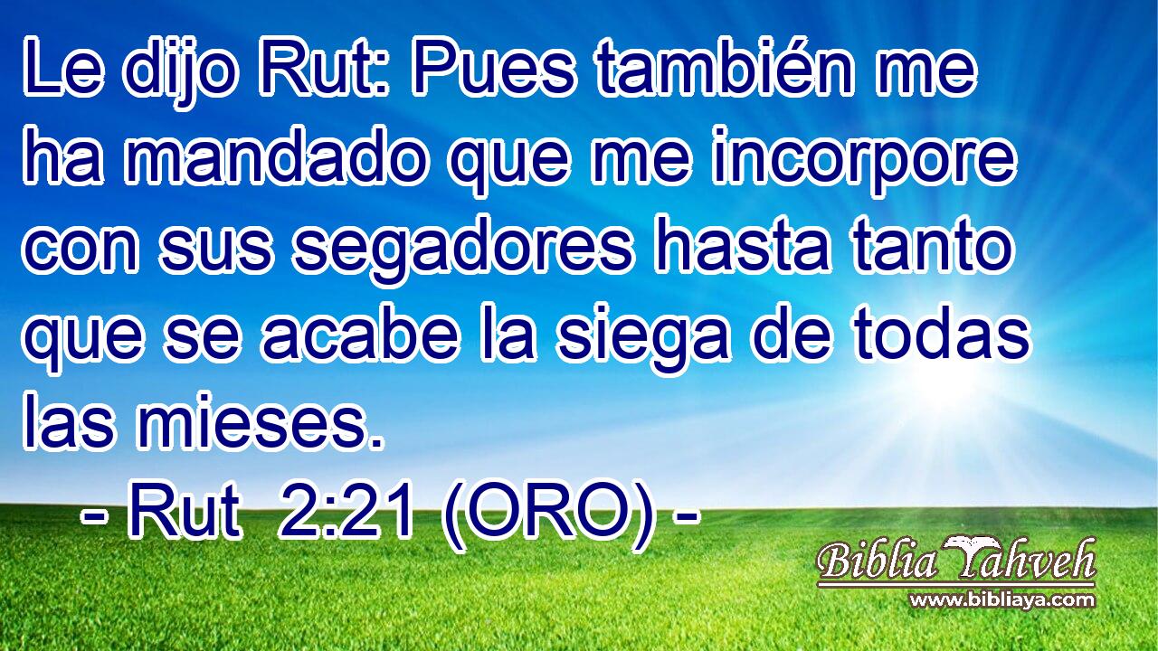  Le dijo Rut: Pues también me ha mandado que me incorpore con sus segadores hasta tanto que se acabe la siega de todas las mieses. 