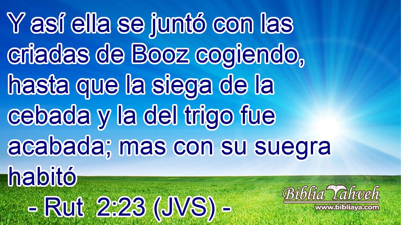 Y así ella se juntó con las criadas de Booz cogiendo, hasta que la siega de la cebada y la del trigo fue acabada; mas con su suegra habitó