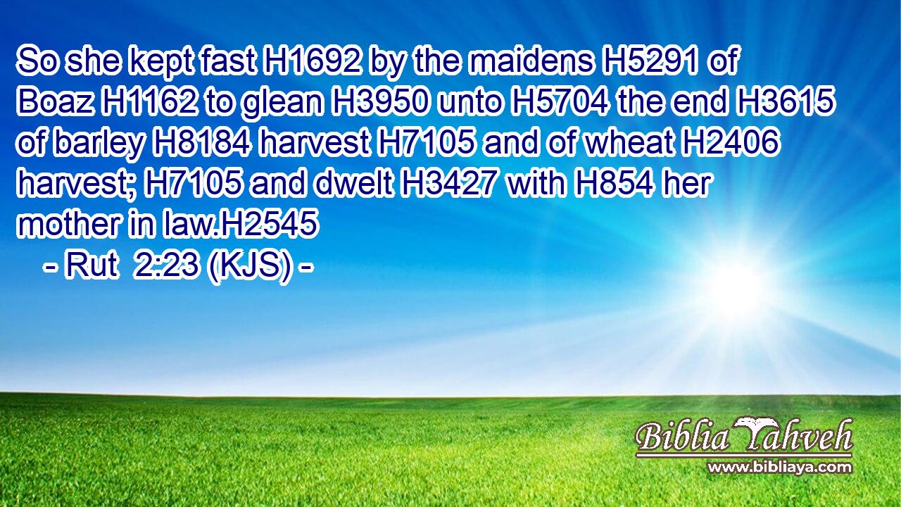 So she kept fast H1692 by the maidens H5291 of Boaz H1162 to glean H3950 unto H5704 the end H3615 of barley H8184 harvest H7105 and of wheat H2406 harvest; H7105 and dwelt H3427 with H854 her mother in law.H2545