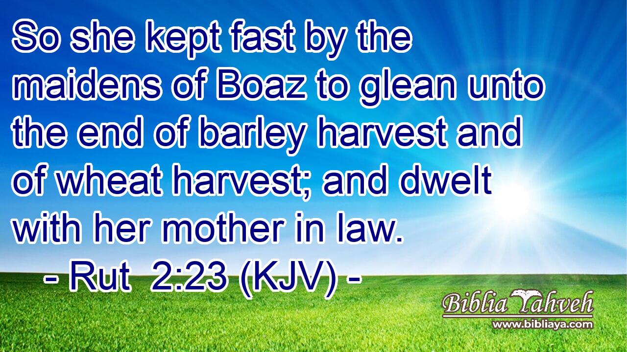 So she kept fast by the maidens of Boaz to glean unto the end of barley harvest and of wheat harvest; and dwelt with her mother in law.
