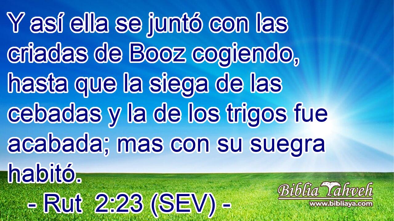 Y así ella se juntó con las criadas de Booz cogiendo, hasta que la siega de las cebadas y la de los trigos fue acabada; mas con su suegra habitó.