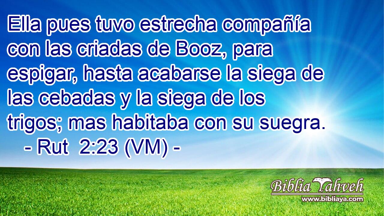  Ella pues tuvo estrecha compañía con las criadas de Booz, para espigar, hasta acabarse la siega de las cebadas y la siega de los trigos; mas habitaba con su suegra. 