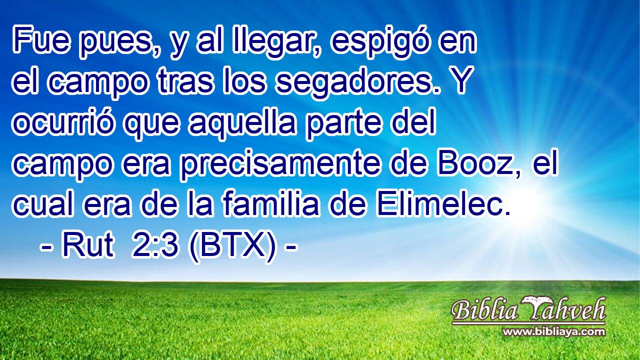 Fue pues, y al llegar, espigó en el campo tras los segadores. Y ocurrió que aquella parte del campo era precisamente de Booz, el cual era de la familia de Elimelec.