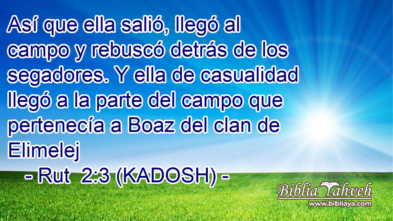  Así que ella salió, llegó al campo y rebuscó detrás de los segadores. Y ella de casualidad llegó a la parte del campo que pertenecía a Boaz del clan de Elimelej 