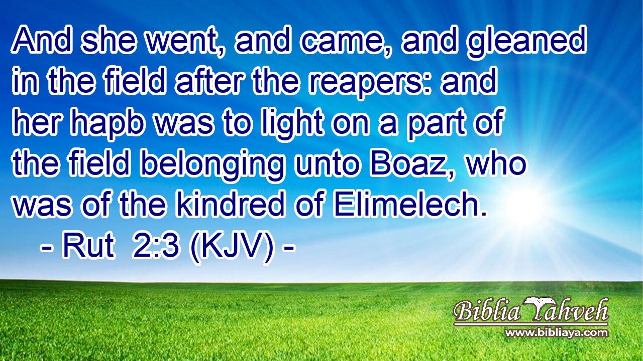 And she went, and came, and gleaned in the field after the reapers: and her hapb was to light on a part of the field belonging unto Boaz, who was of the kindred of Elimelech.