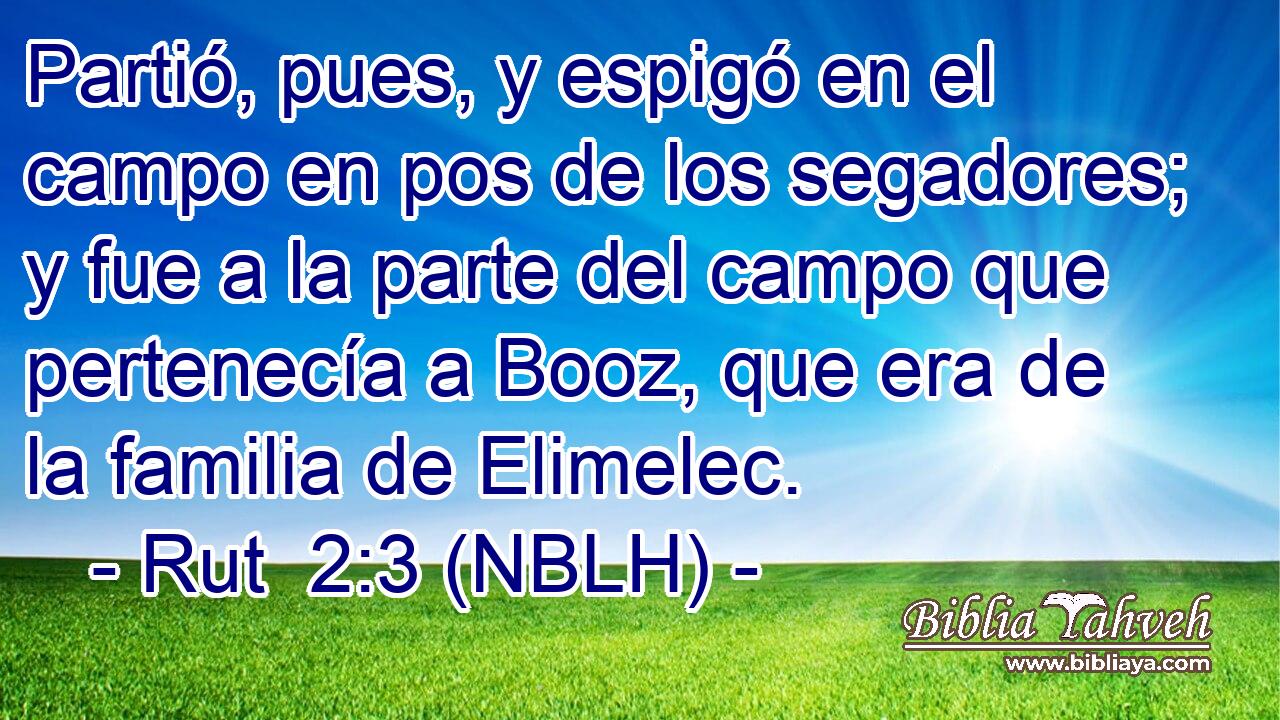  Partió, pues, y espigó en el campo en pos de los segadores; y fue a la parte del campo que pertenecía a Booz, que era de la familia de Elimelec. 