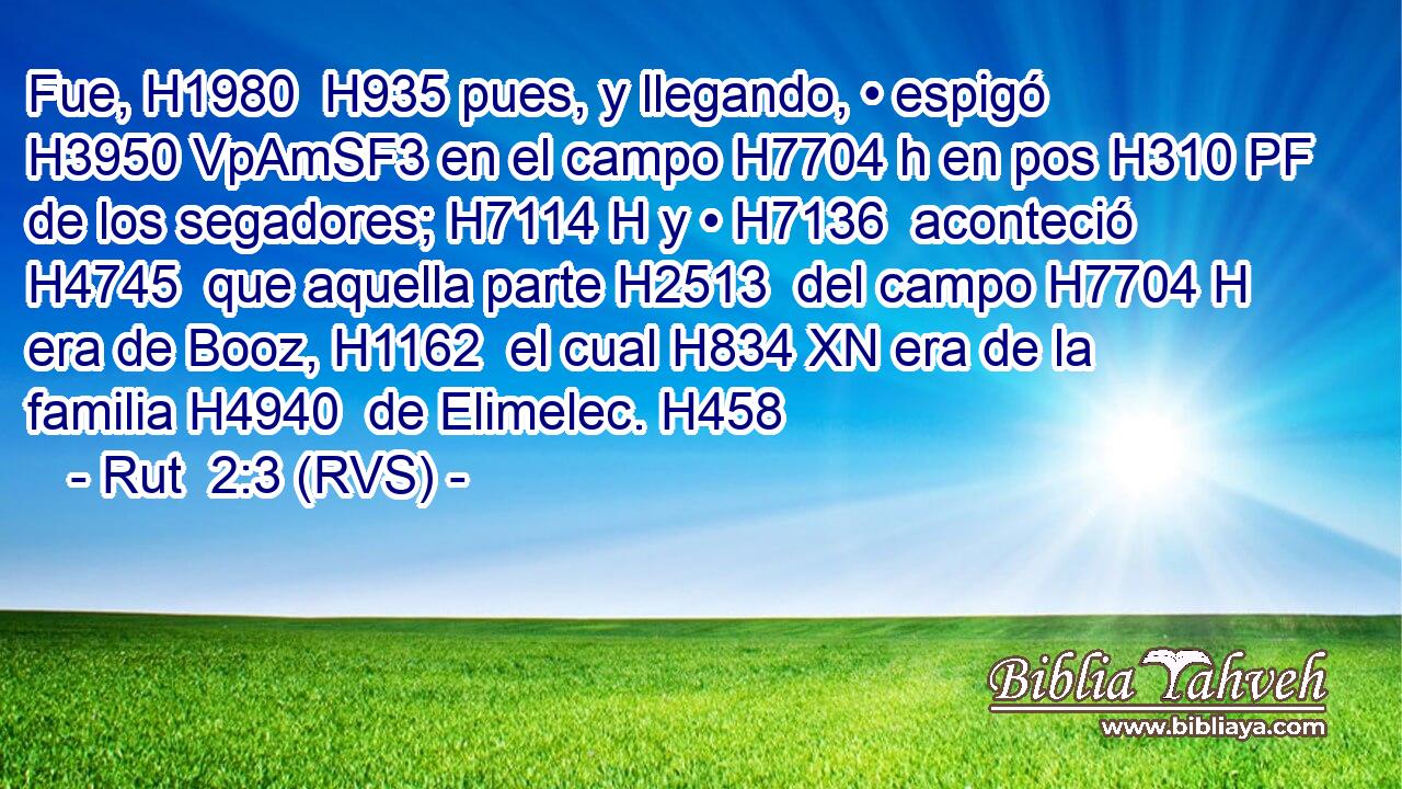 Fue, H1980  H935 pues, y llegando, • espigó H3950 VpAmSF3 en el campo H7704 h en pos H310 PF de los segadores; H7114 H y • H7136  aconteció H4745  que aquella parte H2513  del campo H7704 H era de Booz, H1162  el cual H834 XN era de la familia H4940  de Elimelec. H458  