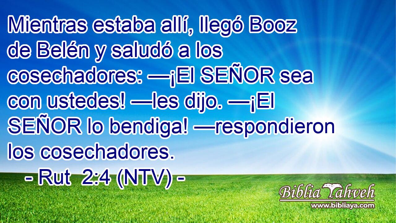 Mientras estaba allí, llegó Booz de Belén y saludó a los cosechadores: —¡El SEÑOR sea con ustedes! —les dijo. —¡El SEÑOR lo bendiga! —respondieron los cosechadores.