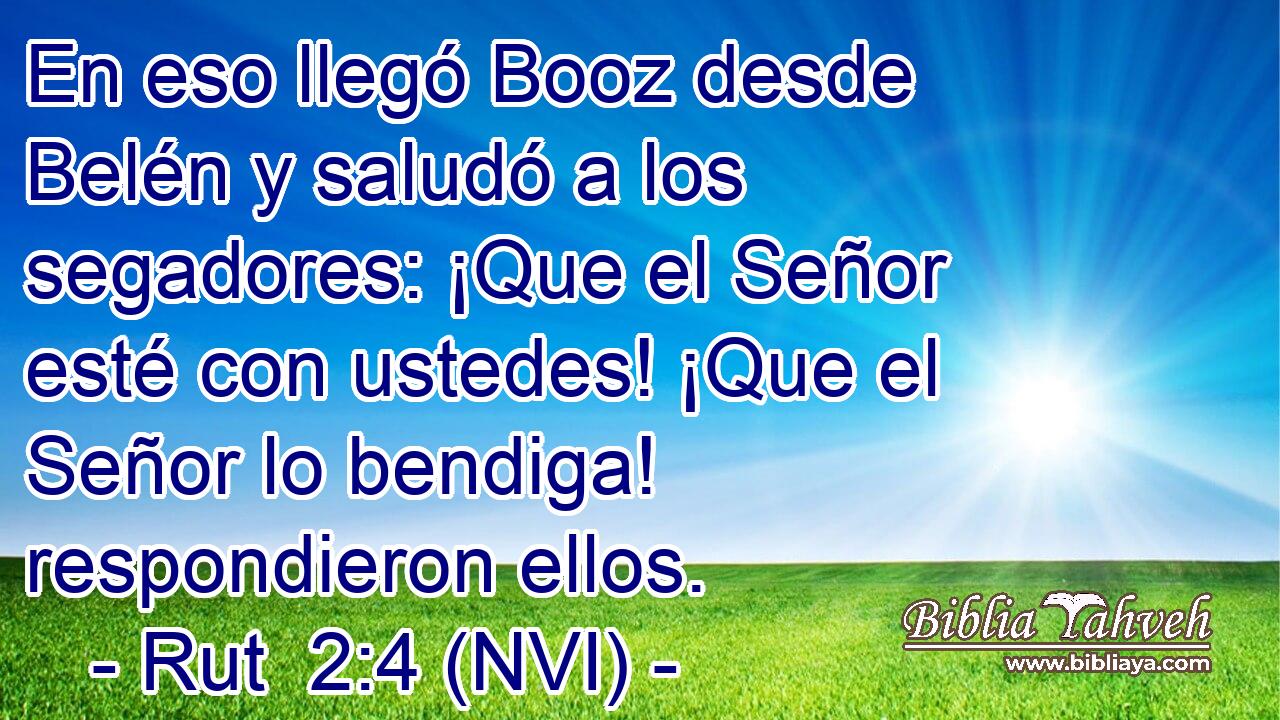  En eso llegó Booz desde Belén y saludó a los segadores: ¡Que el Señor esté con ustedes! ¡Que el Señor lo bendiga! respondieron ellos. 