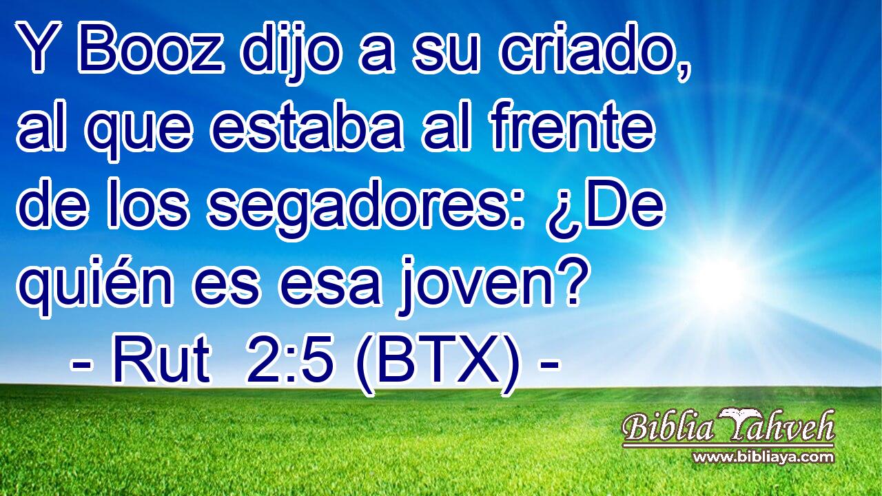 Y Booz dijo a su criado, al que estaba al frente de los segadores: ¿De quién es esa joven?