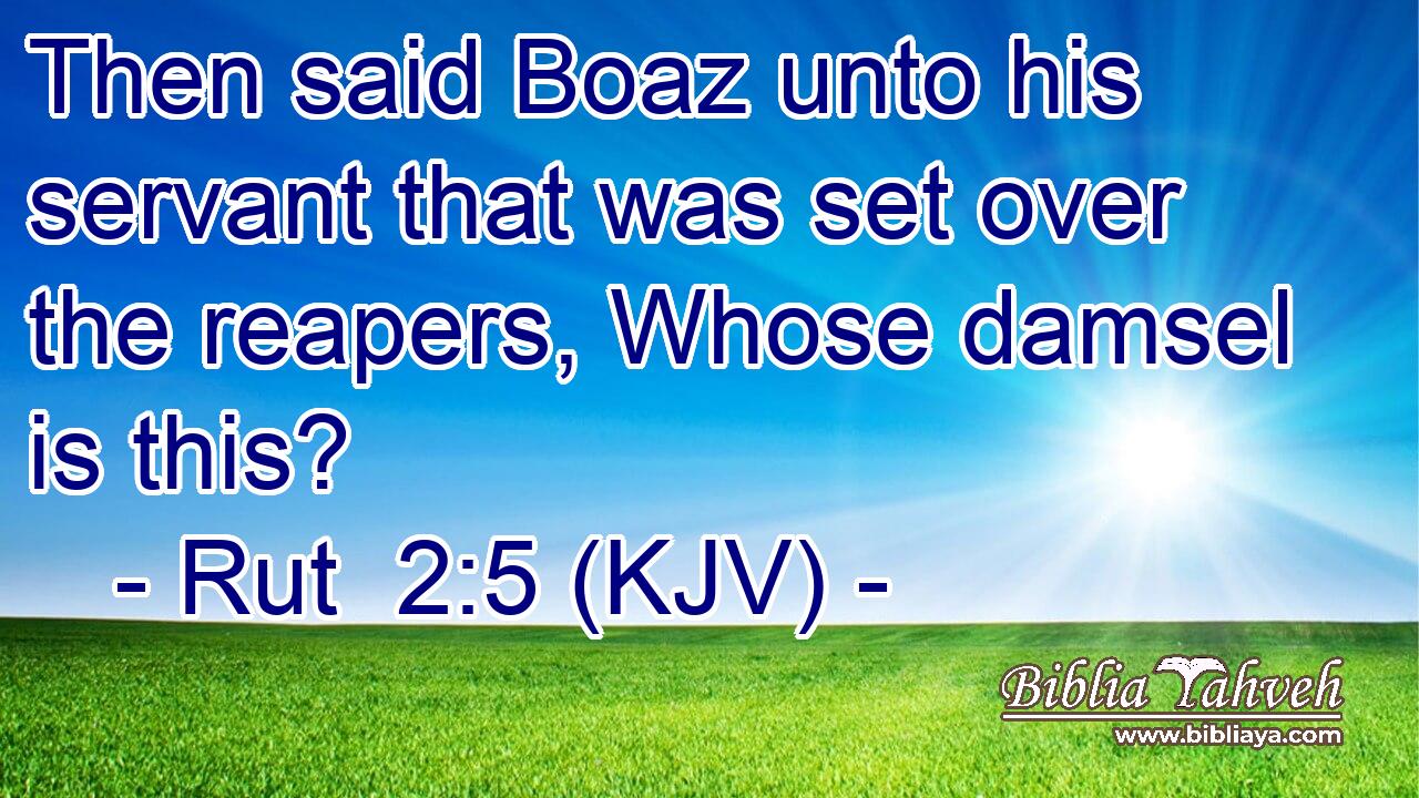 Then said Boaz unto his servant that was set over the reapers, Whose damsel is this?