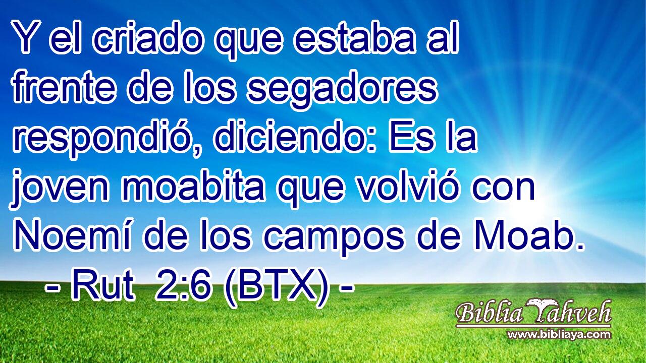Y el criado que estaba al frente de los segadores respondió, diciendo: Es la joven moabita que volvió con Noemí de los campos de Moab.