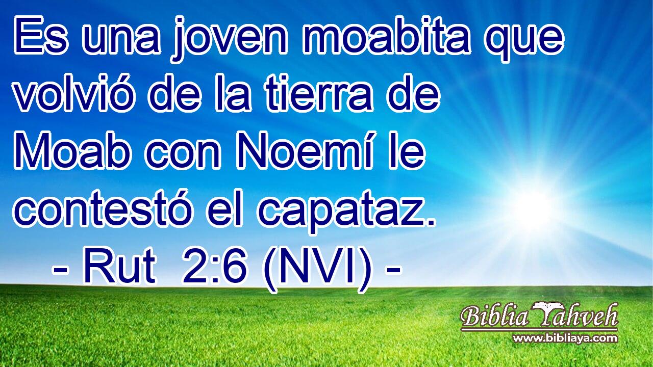 Es una joven moabita que volvió de la tierra de Moab con Noemí le contestó el capataz. 