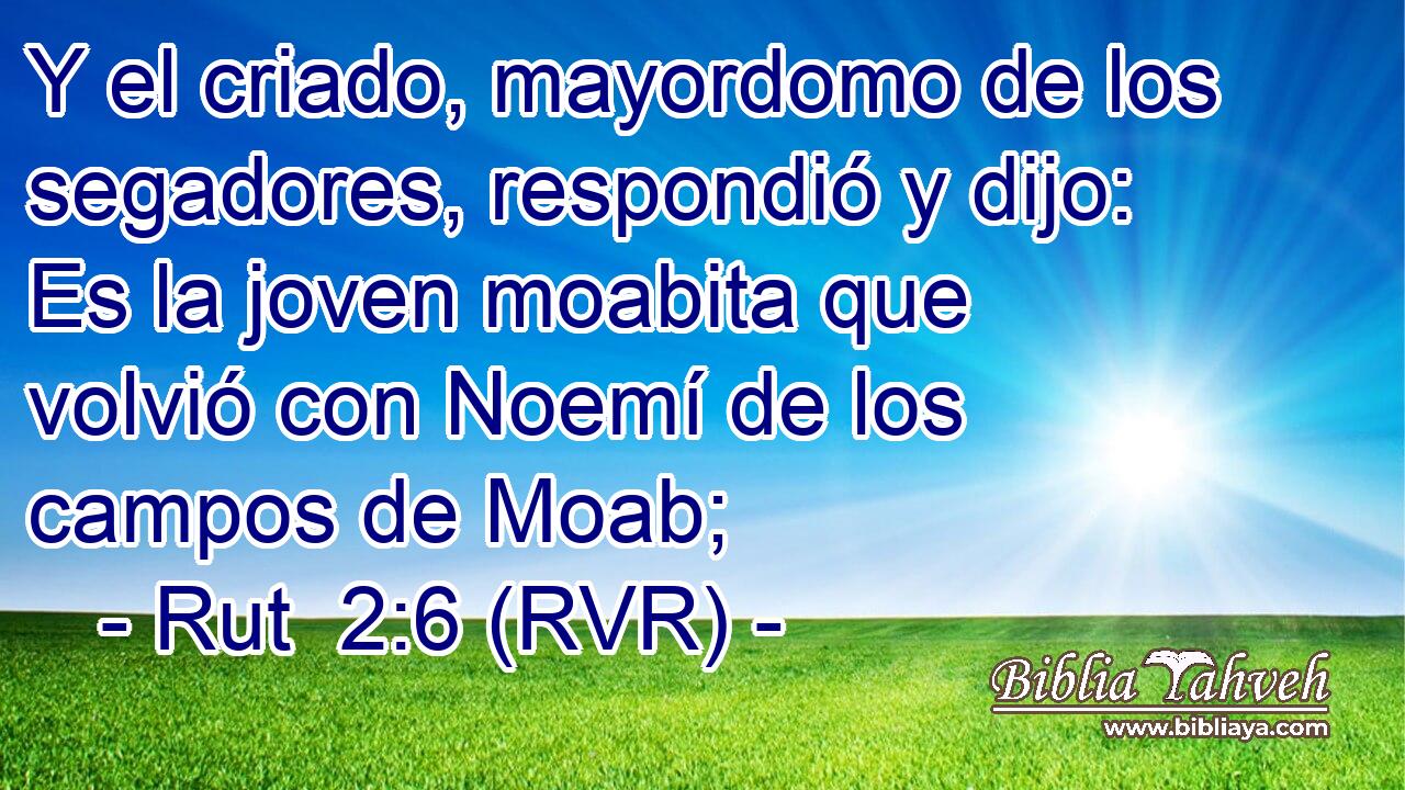 Y el criado, mayordomo de los segadores, respondió y dijo: Es la joven moabita que volvió con Noemí de los campos de Moab;