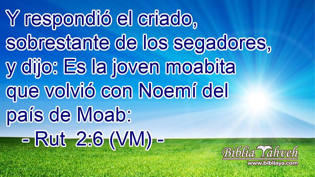  Y respondió el criado, sobrestante de los segadores, y dijo: Es la joven moabita que volvió con Noemí del país de Moab: 