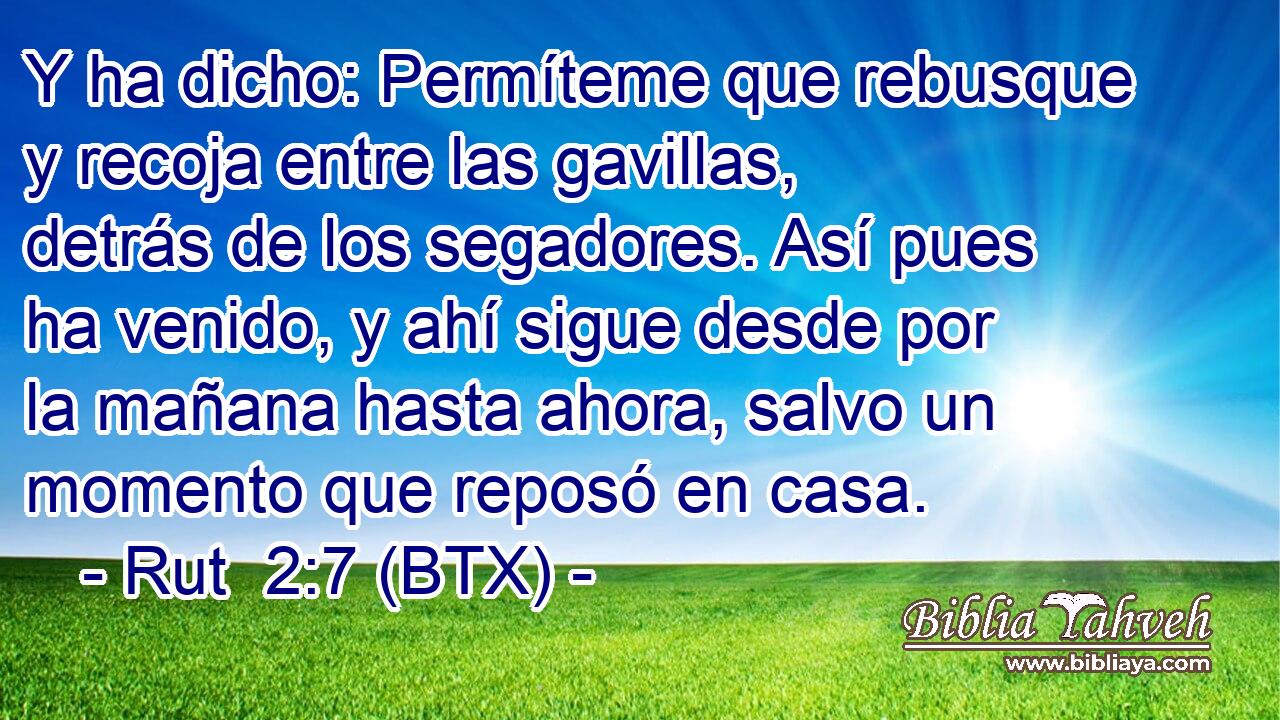 Y ha dicho: Permíteme que rebusque y recoja entre las gavillas, detrás de los segadores. Así pues ha venido, y ahí sigue desde por la mañana hasta ahora, salvo un momento que reposó en casa.