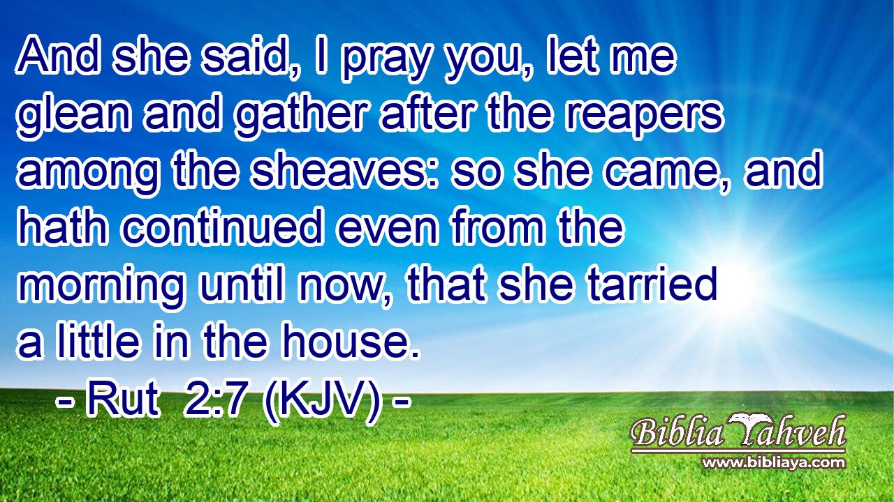 And she said, I pray you, let me glean and gather after the reapers among the sheaves: so she came, and hath continued even from the morning until now, that she tarried a little in the house.