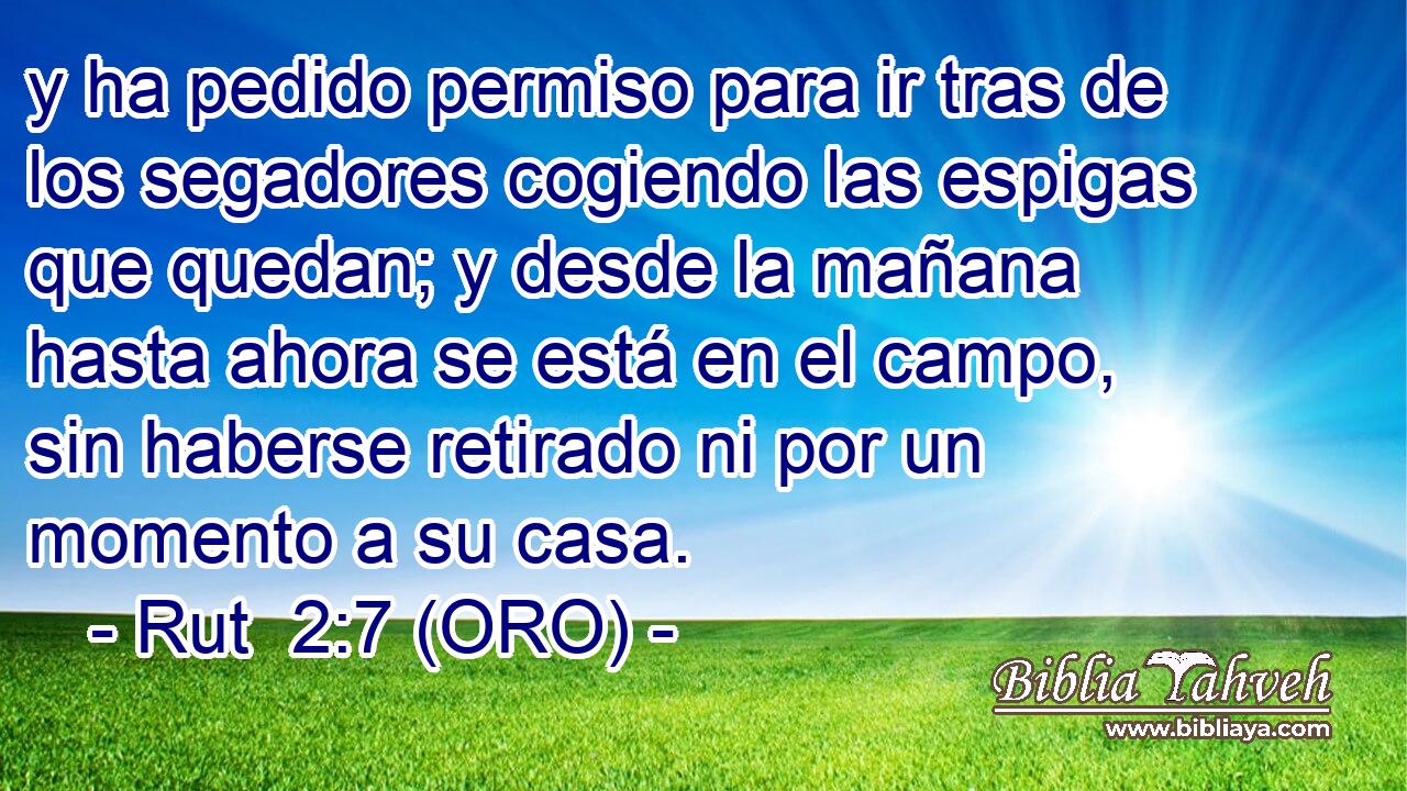  y ha pedido permiso para ir tras de los segadores cogiendo las espigas que quedan; y desde la mañana hasta ahora se está en el campo, sin haberse retirado ni por un momento a su casa. 