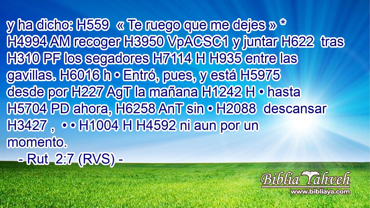 y ha dicho: H559  « Te ruego que me dejes » * H4994 AM recoger H3950 VpACSC1 y juntar H622  tras H310 PF los segadores H7114 H H935 entre las gavillas. H6016 h • Entró, pues, y está H5975  desde por H227 AgT la mañana H1242 H • hasta H5704 PD ahora, H6258 AnT sin • H2088  descansar H3427 ,  • • H1004 H H4592 ni aun por un momento. 