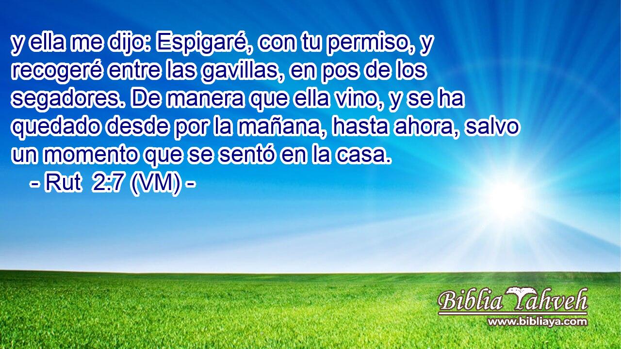  y ella me dijo: Espigaré, con tu permiso, y recogeré entre las gavillas, en pos de los segadores. De manera que ella vino, y se ha quedado desde por la mañana, hasta ahora, salvo un momento que se sentó en la casa. 