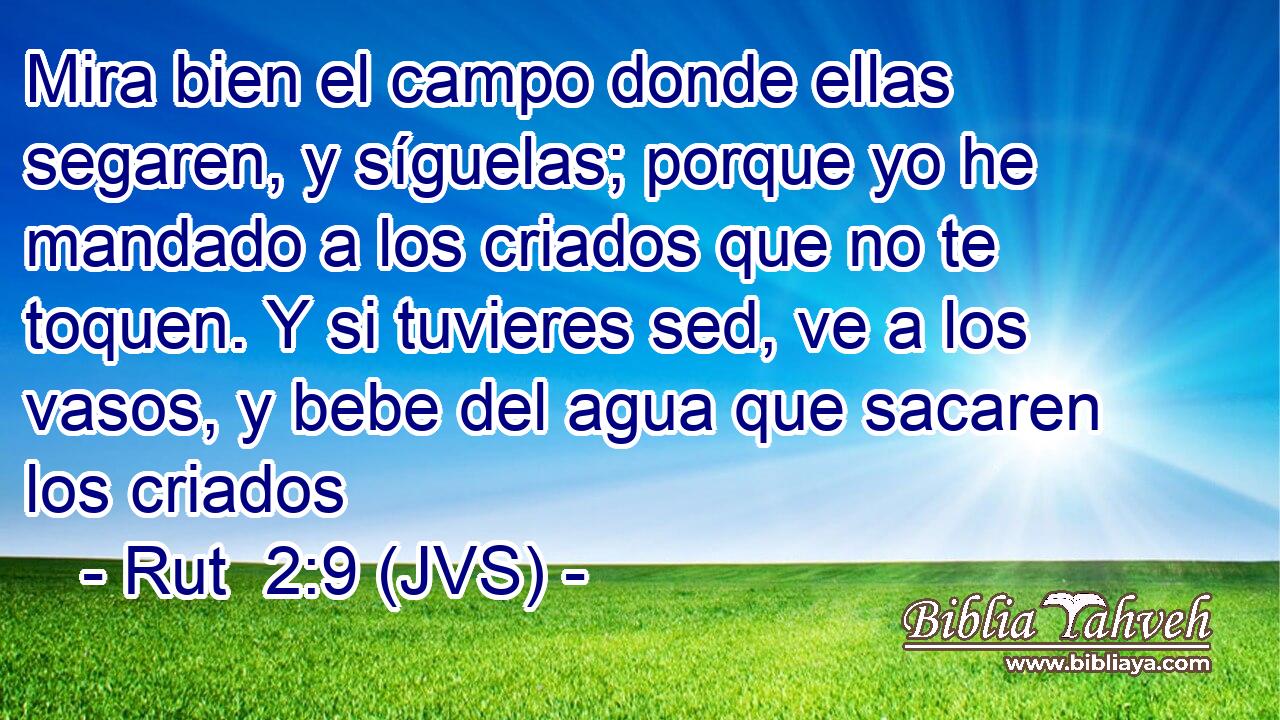 Mira bien el campo donde ellas segaren, y síguelas; porque yo he mandado a los criados que no te toquen. Y si tuvieres sed, ve a los vasos, y bebe del agua que sacaren los criados