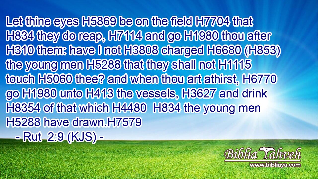 Let thine eyes H5869 be on the field H7704 that H834 they do reap, H7114 and go H1980 thou after H310 them: have I not H3808 charged H6680 (H853) the young men H5288 that they shall not H1115 touch H5060 thee? and when thou art athirst, H6770 go H1980 unto H413 the vessels, H3627 and drink H8354 of that which H4480  H834 the young men H5288 have drawn.H7579