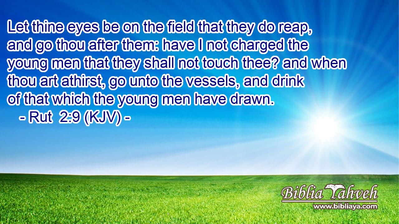 Let thine eyes be on the field that they do reap, and go thou after them: have I not charged the young men that they shall not touch thee? and when thou art athirst, go unto the vessels, and drink of that which the young men have drawn.