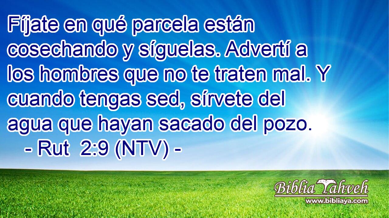 Fíjate en qué parcela están cosechando y síguelas. Advertí a los hombres que no te traten mal. Y cuando tengas sed, sírvete del agua que hayan sacado del pozo.