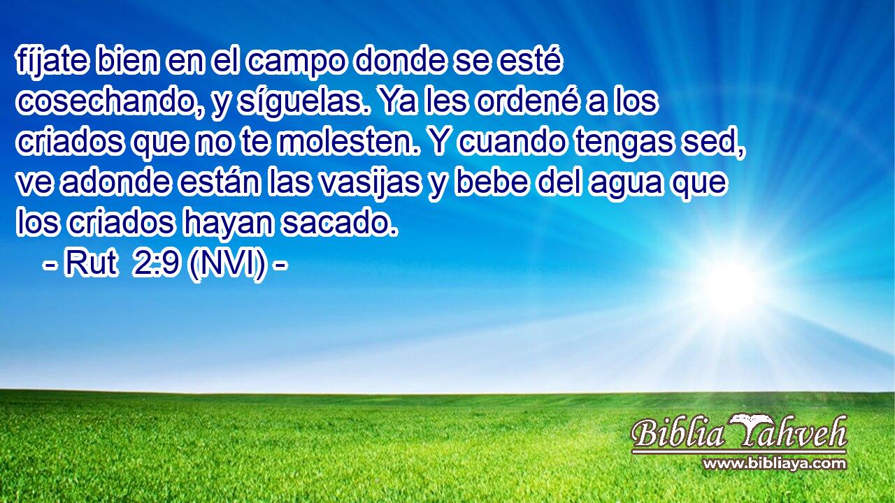  fíjate bien en el campo donde se esté cosechando, y síguelas. Ya les ordené a los criados que no te molesten. Y cuando tengas sed, ve adonde están las vasijas y bebe del agua que los criados hayan sacado. 