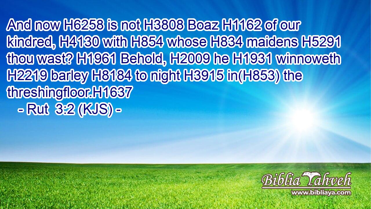 And now H6258 is not H3808 Boaz H1162 of our kindred, H4130 with H854 whose H834 maidens H5291 thou wast? H1961 Behold, H2009 he H1931 winnoweth H2219 barley H8184 to night H3915 in(H853) the threshingfloor.H1637