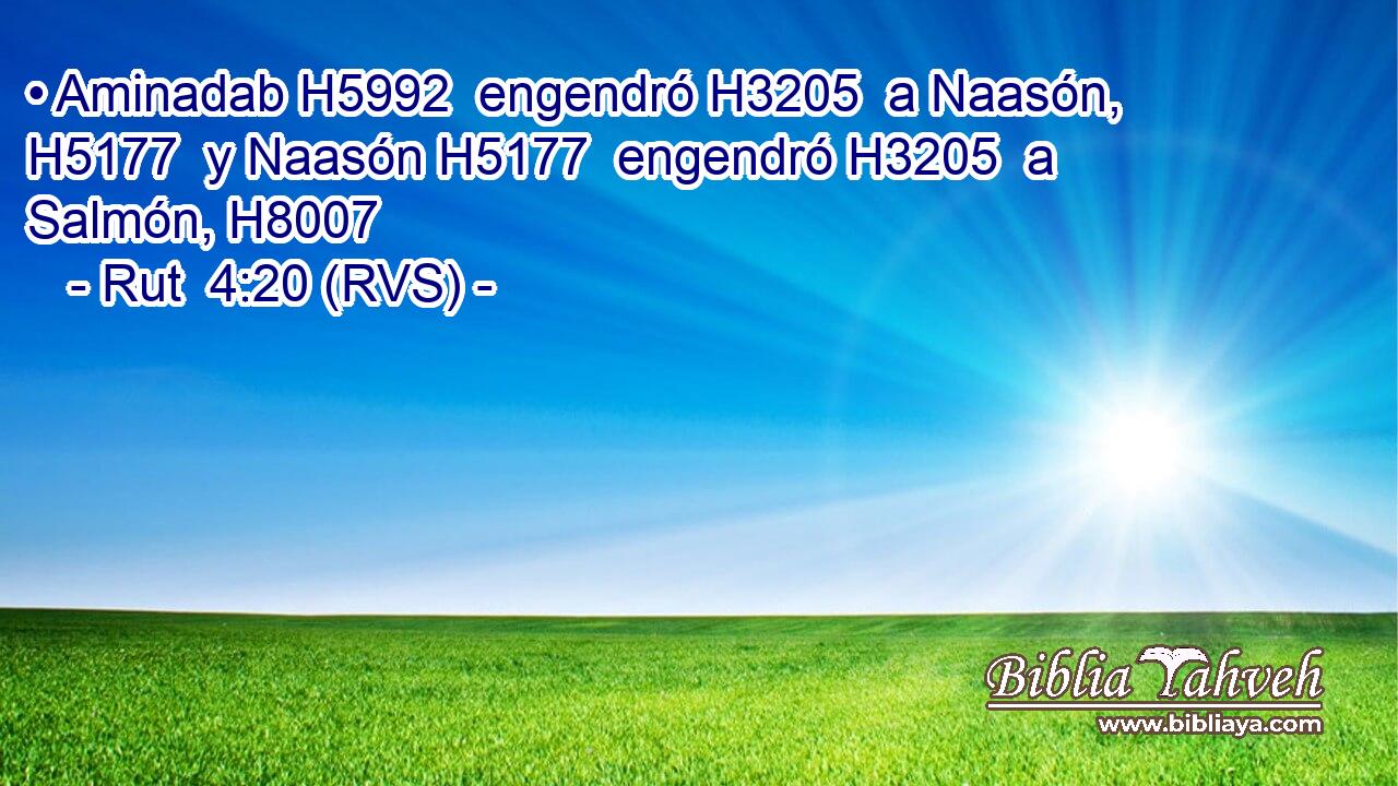 • Aminadab H5992  engendró H3205  a Naasón, H5177  y Naasón H5177  engendró H3205  a Salmón, H8007  