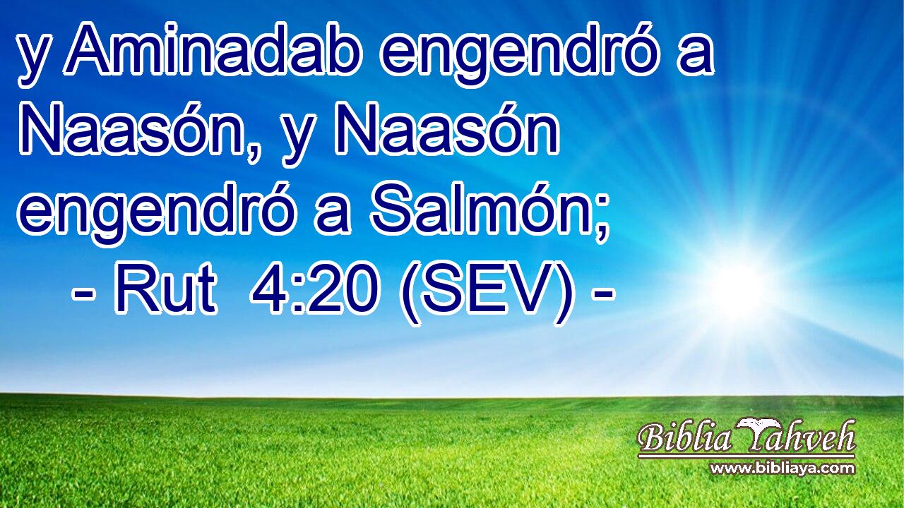 y Aminadab engendró a Naasón, y Naasón engendró a Salmón;