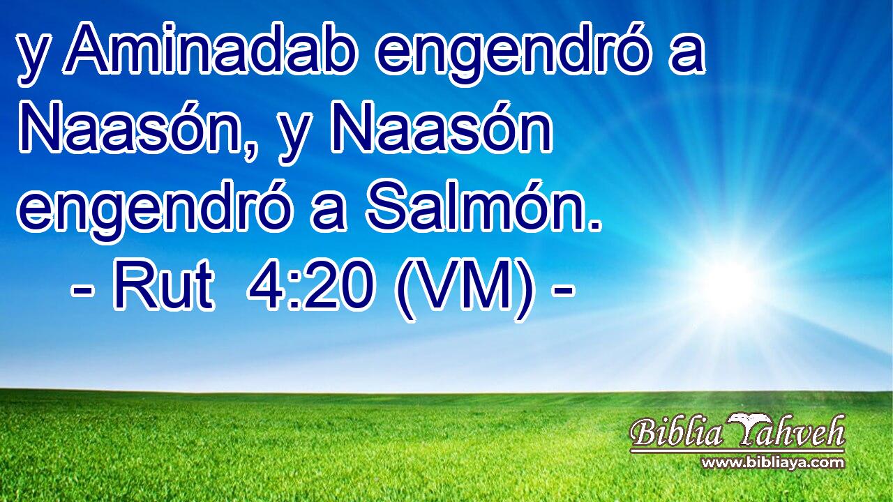  y Aminadab engendró a Naasón, y Naasón engendró a Salmón. 