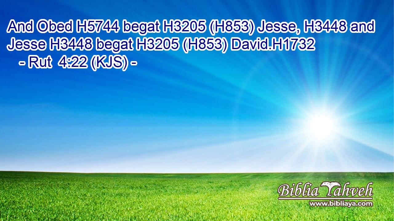 And Obed H5744 begat H3205 (H853) Jesse, H3448 and Jesse H3448 begat H3205 (H853) David.H1732