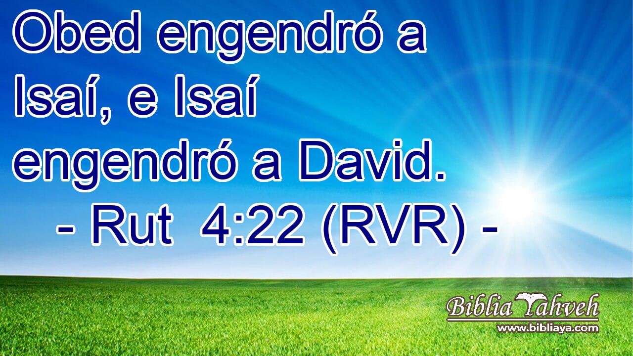 Obed engendró a Isaí, e Isaí engendró a David.