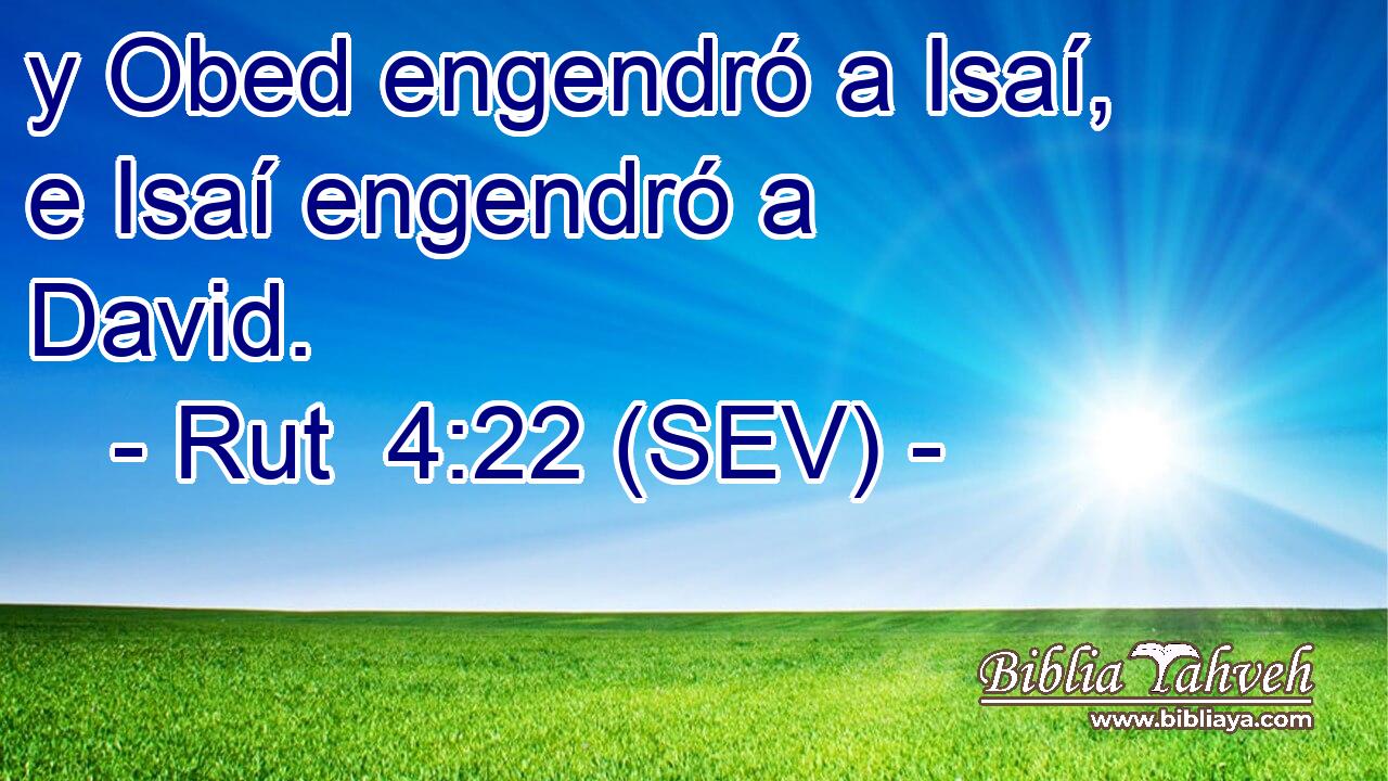 y Obed engendró a Isaí, e Isaí engendró a David.