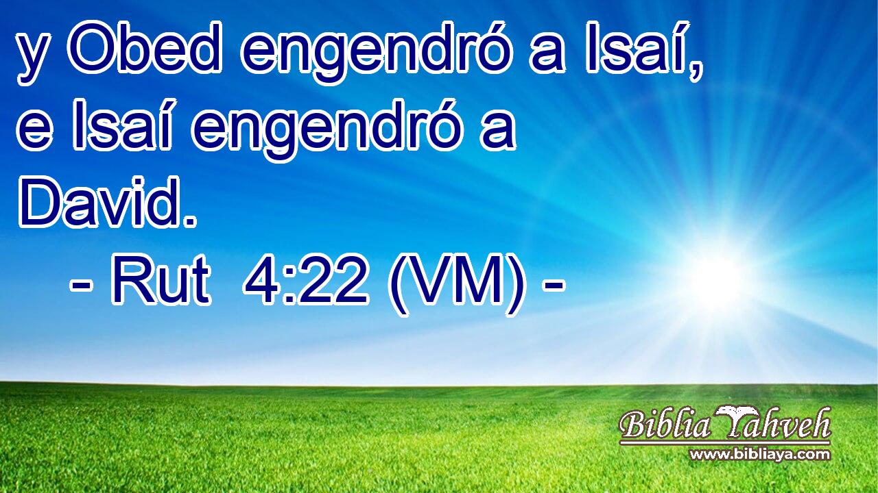  y Obed engendró a Isaí, e Isaí engendró a David. 