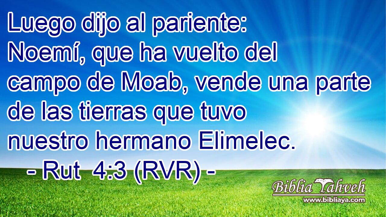 Luego dijo al pariente: Noemí, que ha vuelto del campo de Moab, vende una parte de las tierras que tuvo nuestro hermano Elimelec.