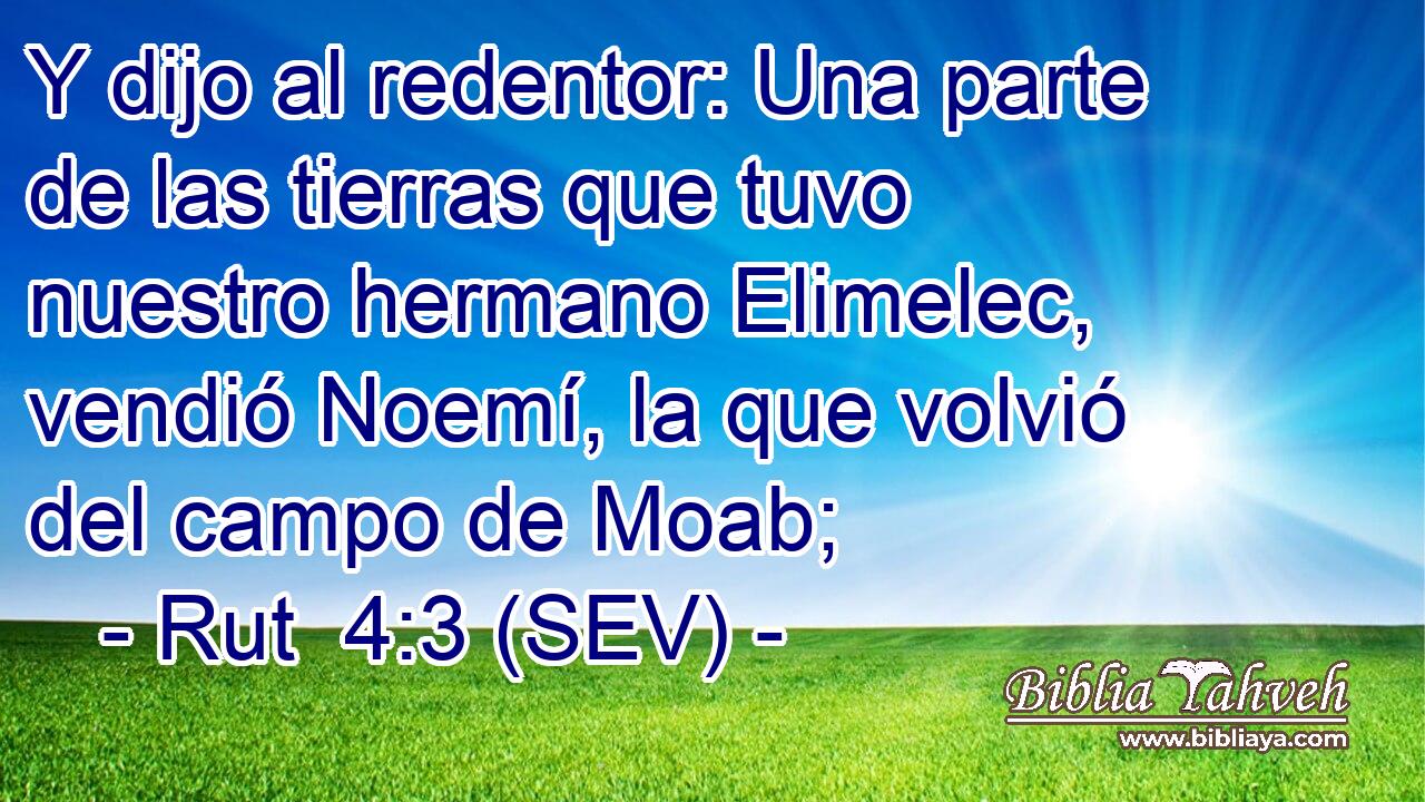 Y dijo al redentor: Una parte de las tierras que tuvo nuestro hermano Elimelec, vendió Noemí, la que volvió del campo de Moab;