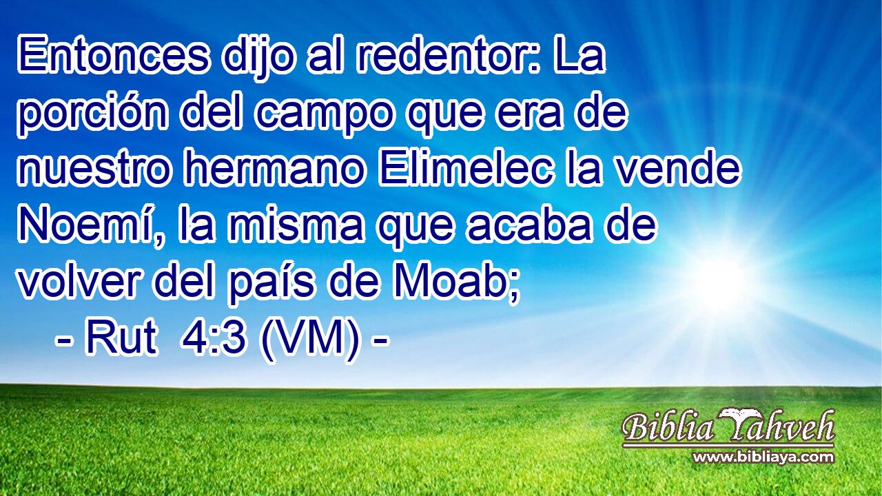  Entonces dijo al redentor: La porción del campo que era de nuestro hermano Elimelec la vende Noemí, la misma que acaba de volver del país de Moab; 