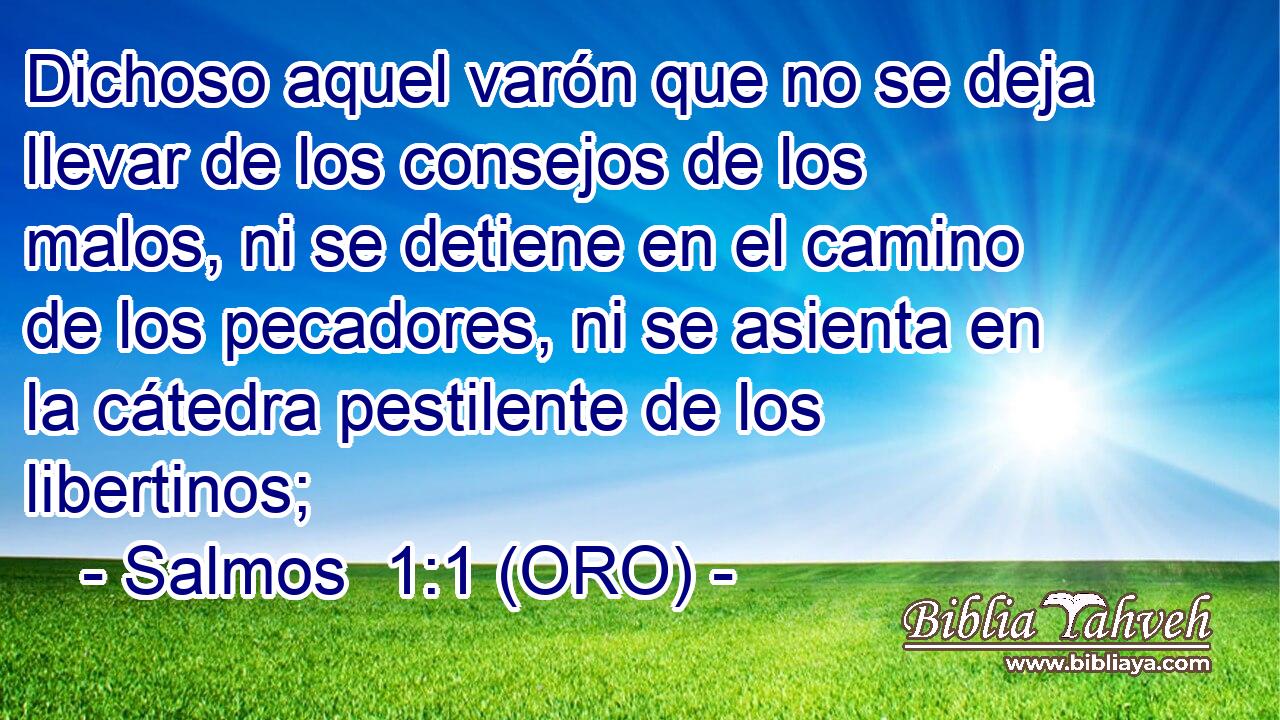  Dichoso aquel varón que no se deja llevar de los consejos de los malos, ni se detiene en el camino de los pecadores, ni se asienta en la cátedra pestilente de los libertinos; 