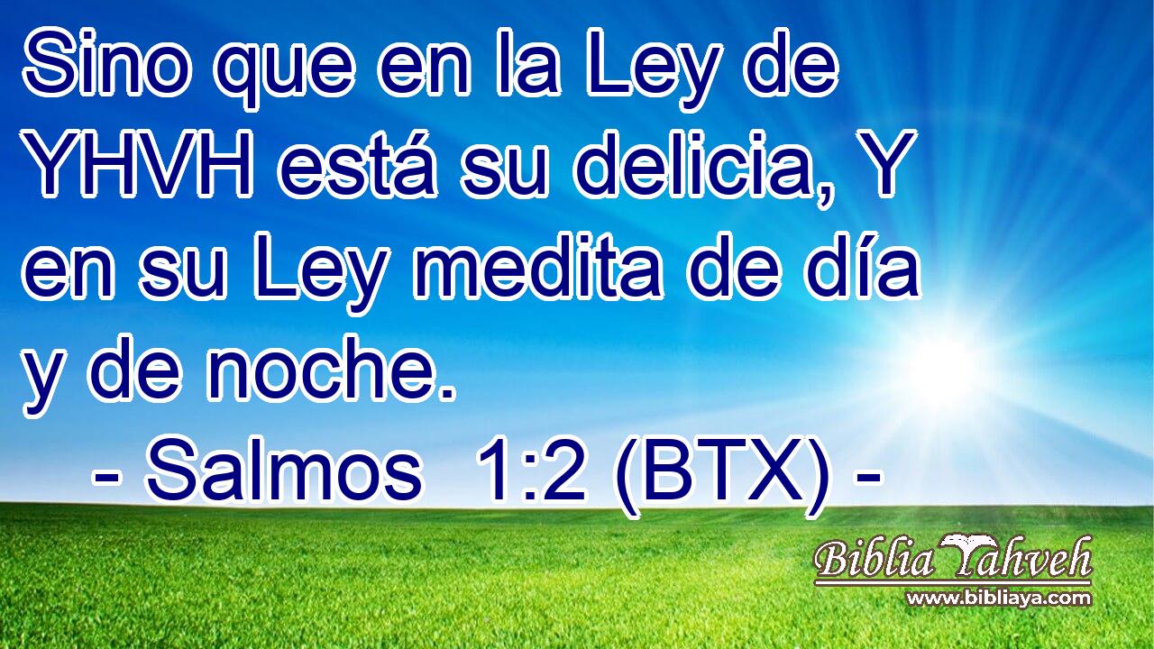 Sino que en la Ley de YHVH está su delicia, Y en su Ley medita de día y de noche.