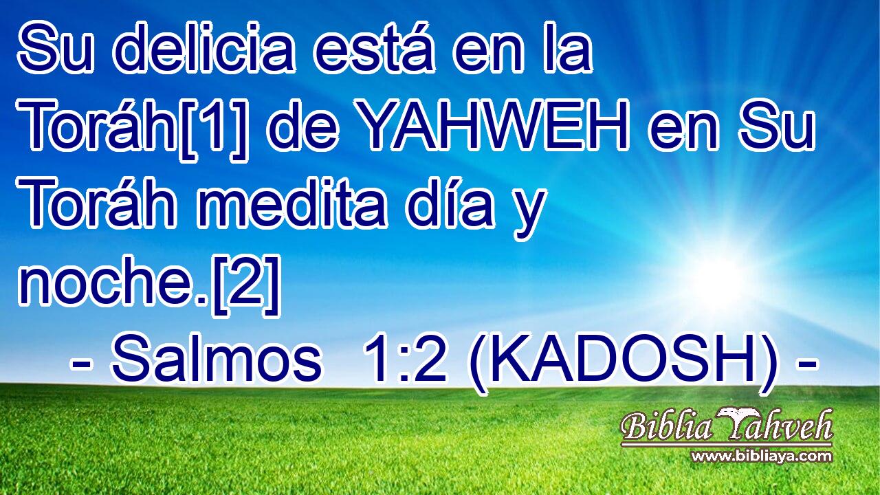  Su delicia está en la Toráh[1] de YAHWEH en Su Toráh medita día y noche.[2] 