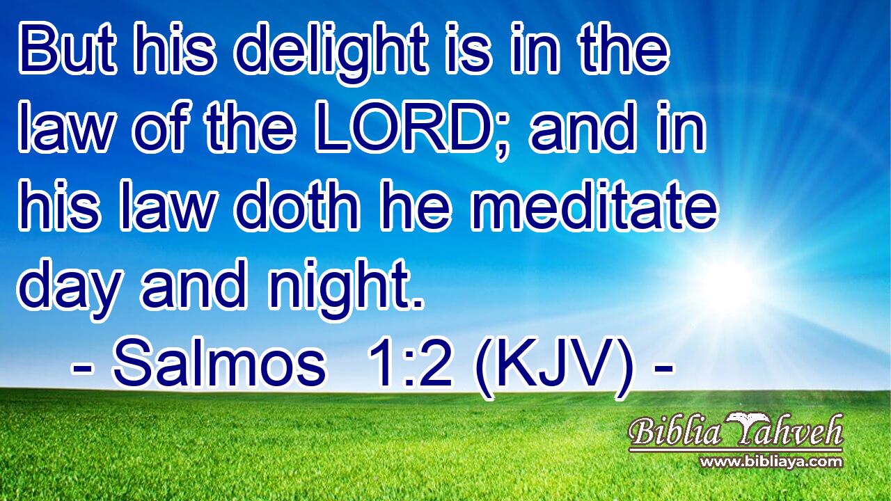 But his delight is in the law of the LORD; and in his law doth he meditate day and night.