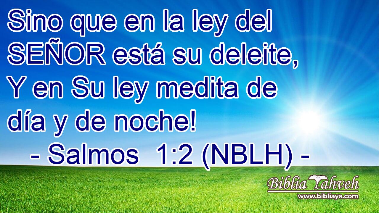  Sino que en la ley del SEÑOR está su deleite, Y en Su ley medita de día y de noche! 